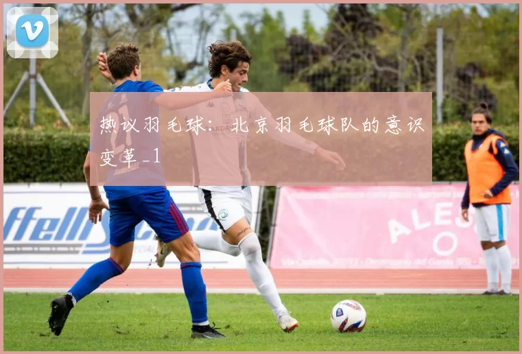 热议羽毛球：北京羽毛球队的意识变革_1