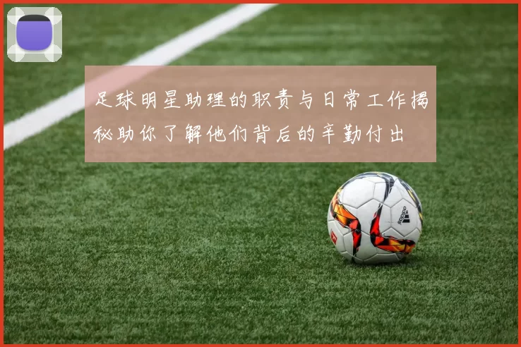 足球明星助理的职责与日常工作揭秘助你了解他们背后的辛勤付出