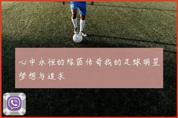 心中永恒的绿茵传奇我的足球明星梦想与追求