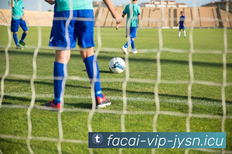 开云体育服务体系